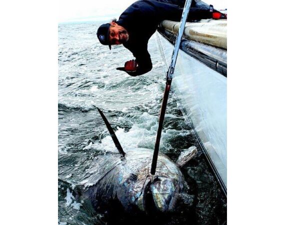 Nova Scotia, Bluefin tuna, Canada