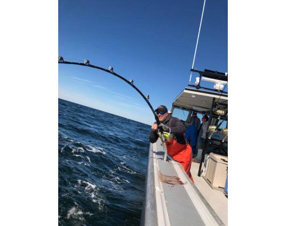 Nova Scotia, Bluefin tuna, Canada