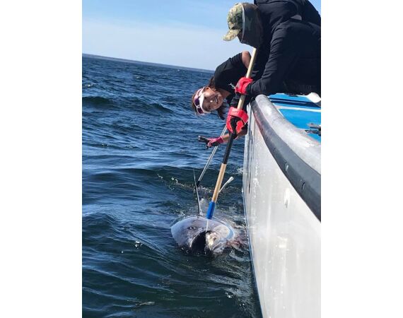 Nova Scotia, Bluefin tuna, Canada