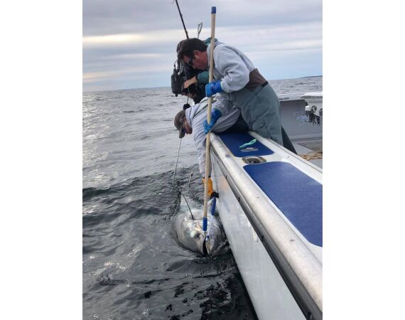 Nova Scotia, Bluefin tuna, Canada