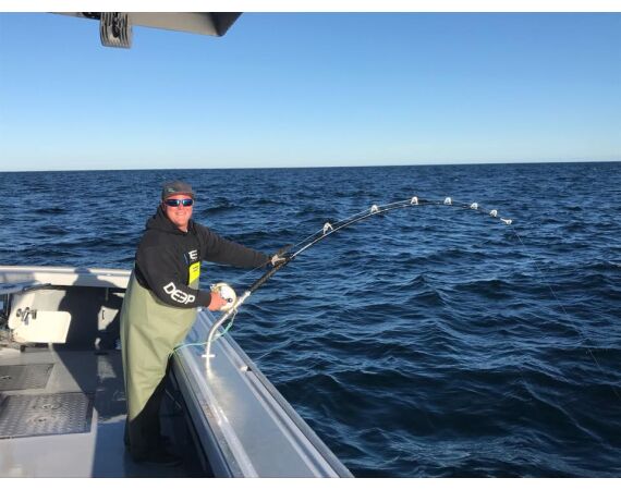 Nova Scotia, Bluefin tuna, Canada