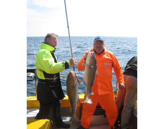Hirtshals, Yellow Reef Denmark