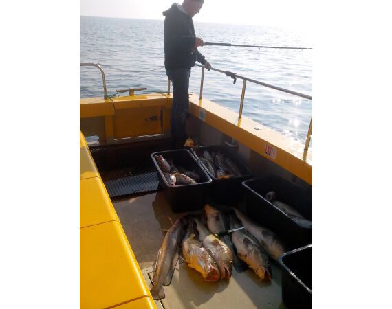 Hirtshals, Yellow Reef Denmark