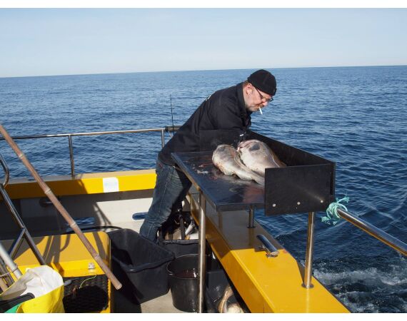 Hirtshals, Yellow Reef Denmark
