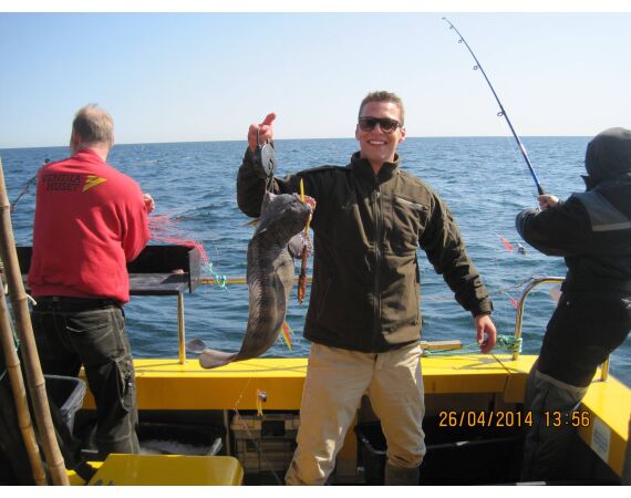 Hirtshals, Yellow Reef Denmark