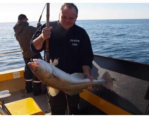 Hirtshals, Yellow Reef Denmark