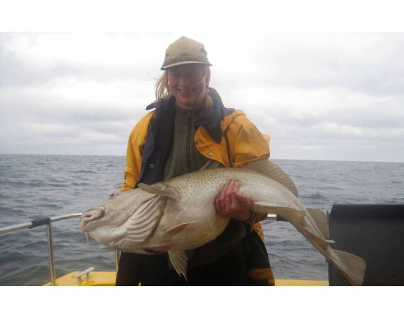 Hirtshals, Yellow Reef Denmark