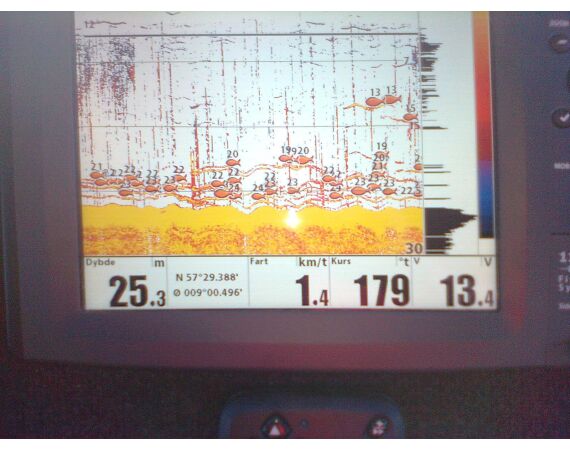 Hirtshals, Yellow Reef Denmark