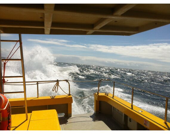 Hirtshals, Yellow Reef Denmark