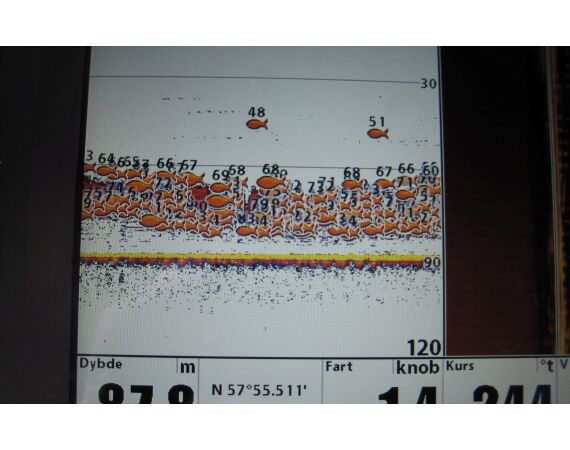 Hirtshals, Yellow Reef Denmark