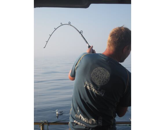 Hirtshals, Yellow Reef Denmark