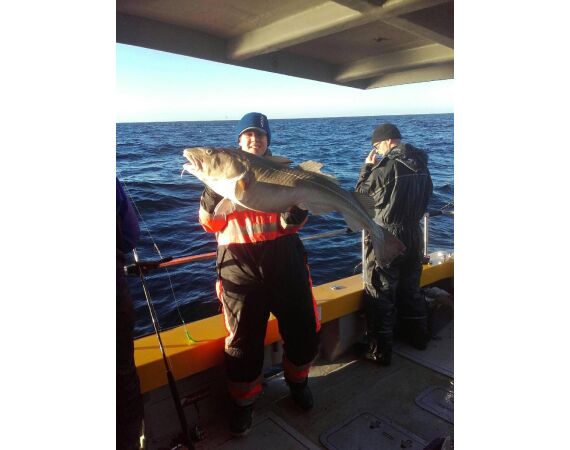 Hirtshals, Yellow Reef Denmark