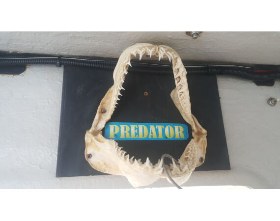 Port Rush Northern Ireland