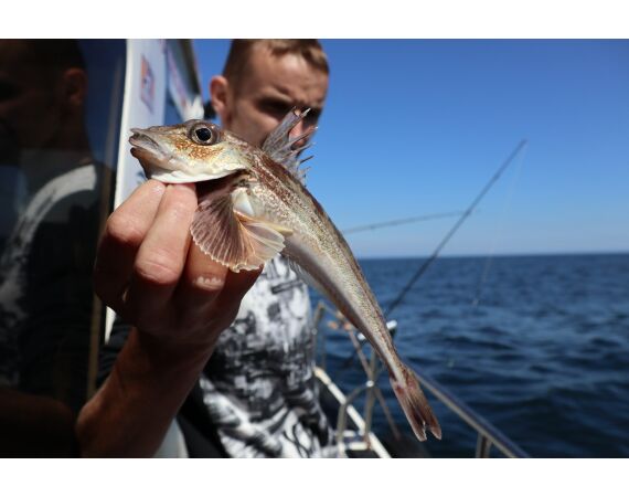 Port Rush Northern Ireland