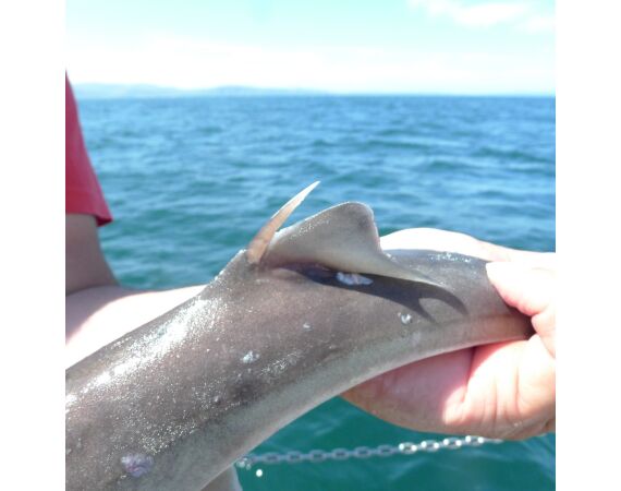 Port Rush Northern Ireland