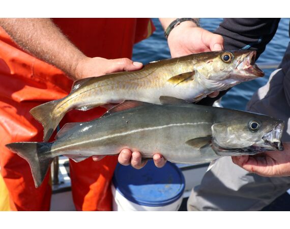 Port Rush Northern Ireland