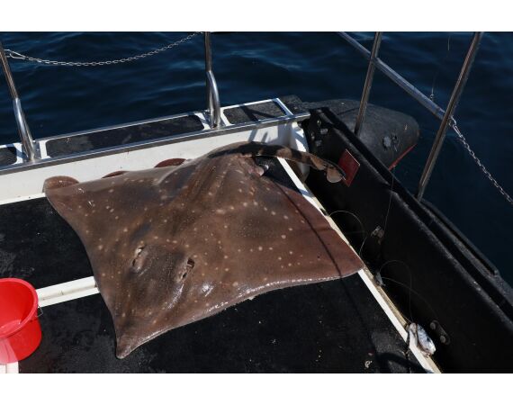 Port Rush Northern Ireland