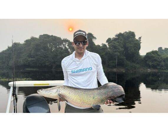 Arapaima Bolivia