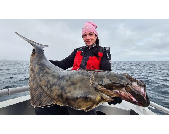 Hemmingodden Nappstraumen