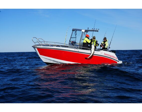 Hemmingodden Nappstraumen