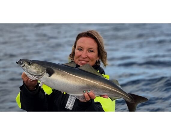 Hemmingodden Nappstraumen