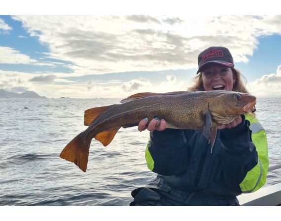 Hemmingodden Nappstraumen