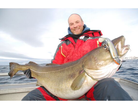 Havoysund Arronet boat