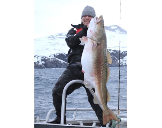 Havoysund Arronet boat