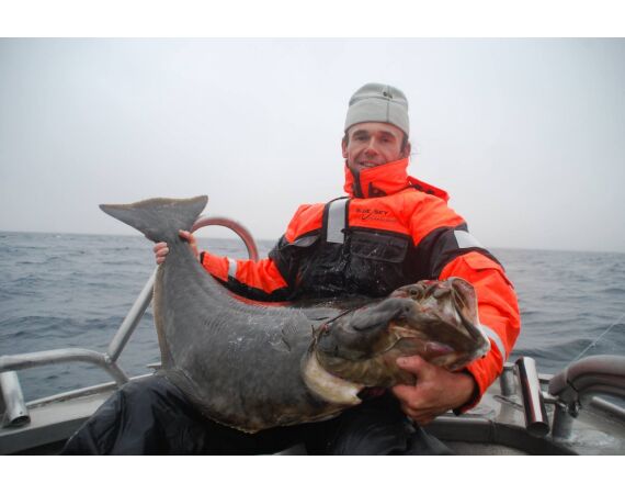 Havoysund Arronet boat