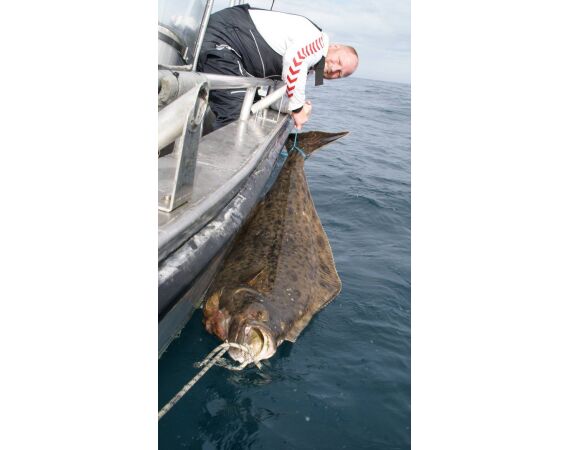 Havoysund Arronet boat