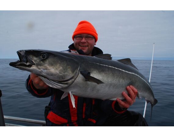 Havoysund Arronet boat