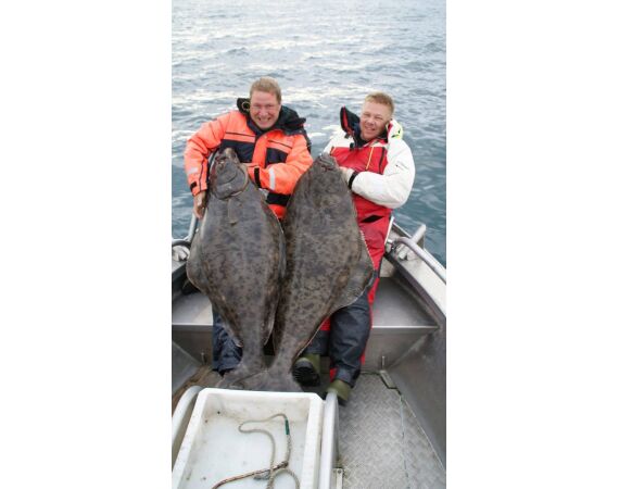 Havoysund Arronet boat