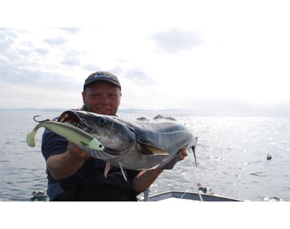 Havoysund Arronet boat