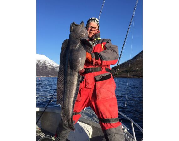 Havoysund Arronet boat