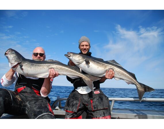 Havoysund Arronet boat