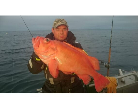 Havoysund Arronet boat
