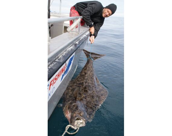 Havoysund Arronet boat