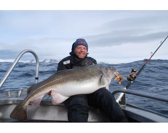 Havoysund Arronet boat