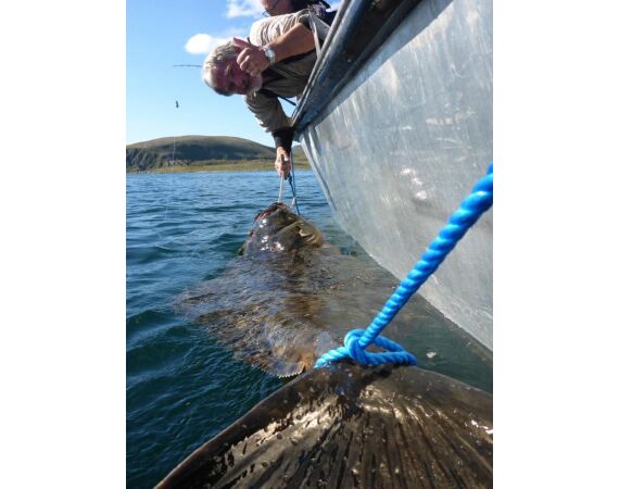 Havoysund Arronet boat