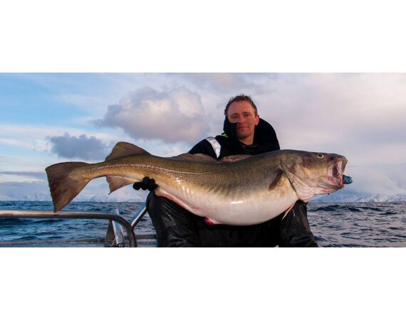 Havoysund Arronet boat