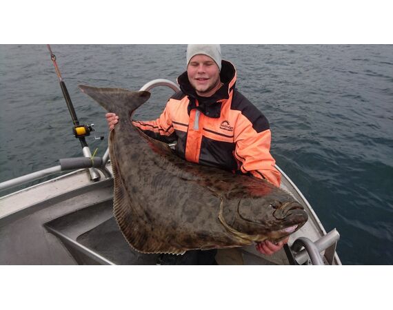 Havoysund Arronet boat