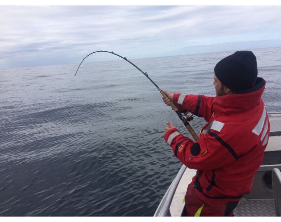 Havoysund Arronet boat