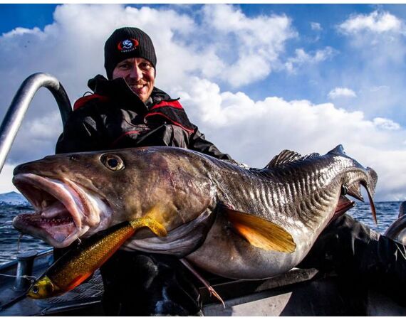 Havoysund Arronet boat