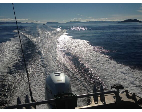 Havoysund Arronet boat