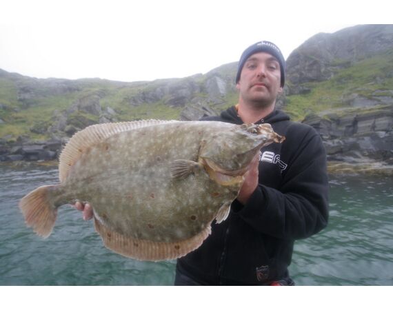 Havoysund Arronet boat
