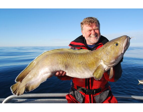 Havoysund Arronet boat