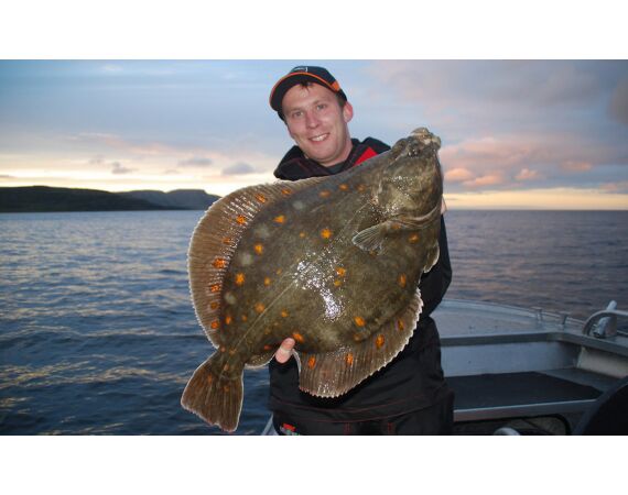 Havoysund Arronet boat