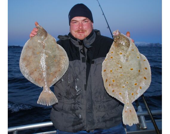 Havoysund Arronet boat