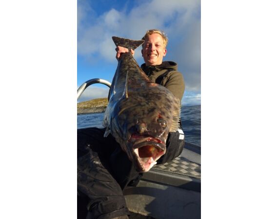 Havoysund Arronet boat