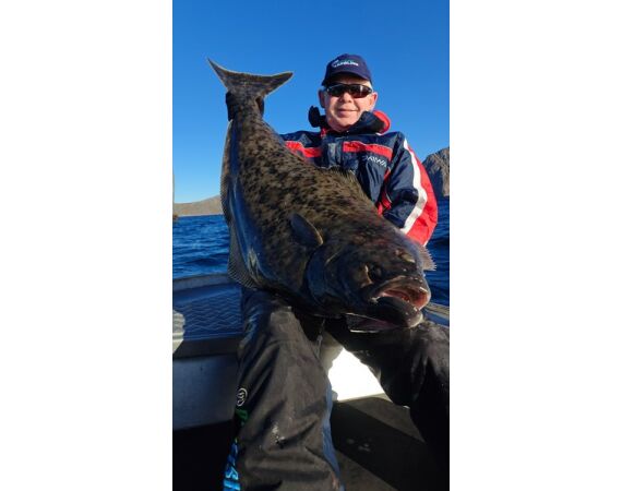 Havoysund Arronet boat